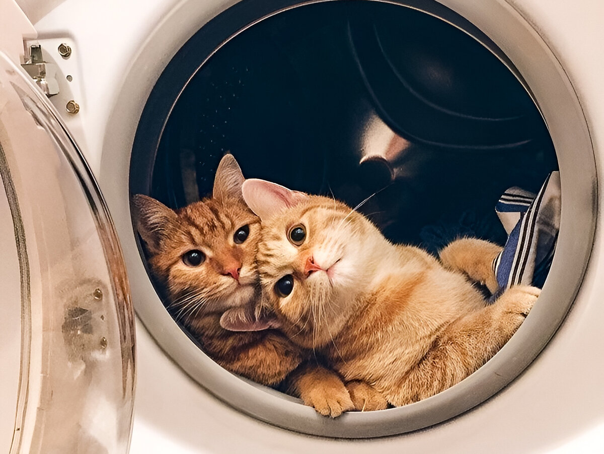 Почти космонавты)