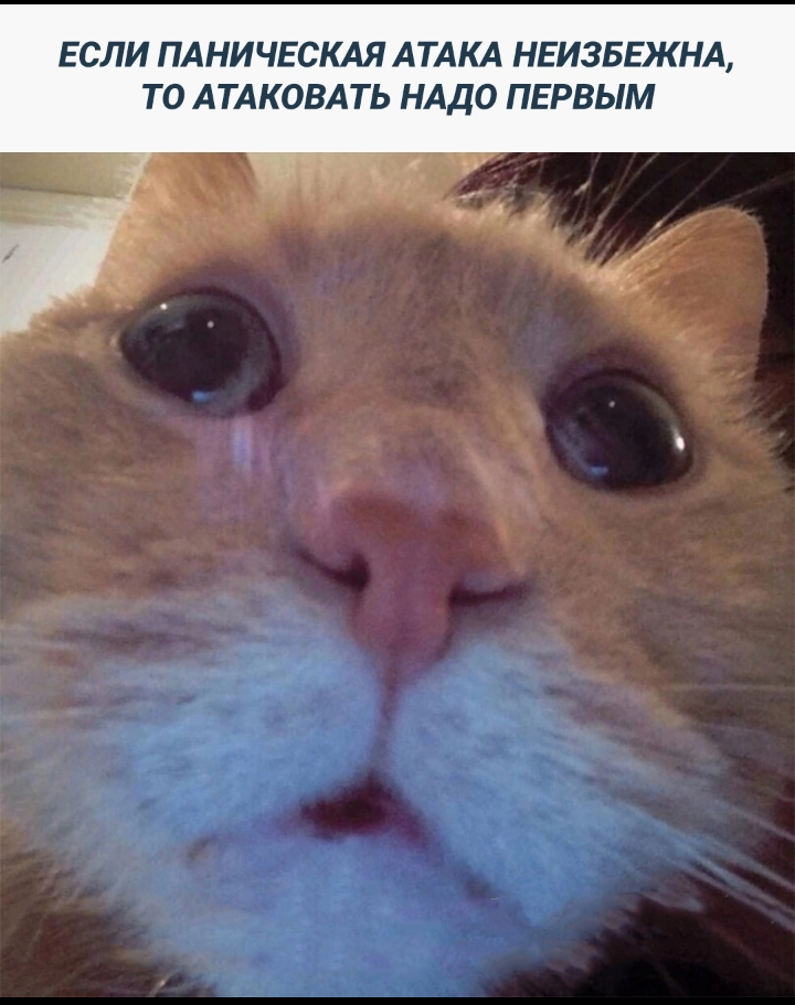 10 интересных фактов. 10 забавных фактов картинки. Краткие интересные факты. 10 интересных фактов о тропинова. 10 интересных фактов о марсе.