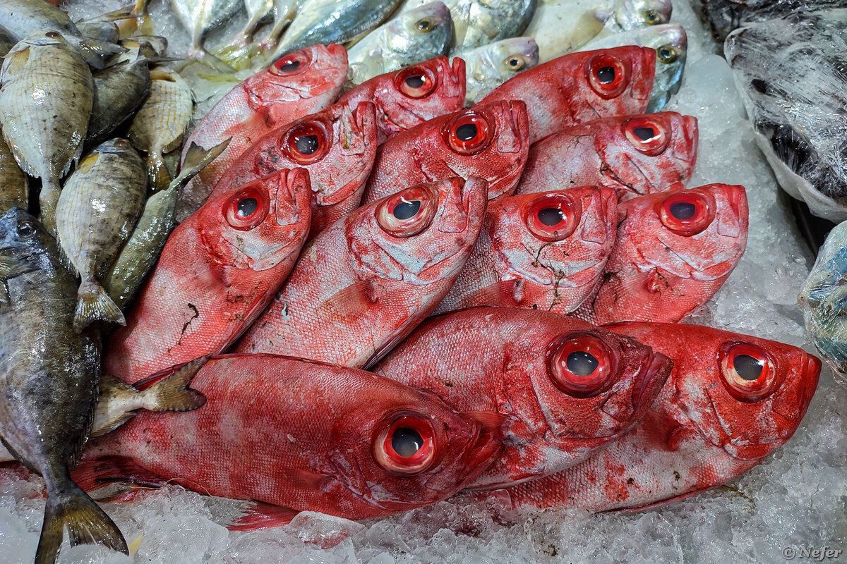 Где поесть рыбы и морепродуктов в Хургаде, как местный |  Маньяк-путешественник | Дзен