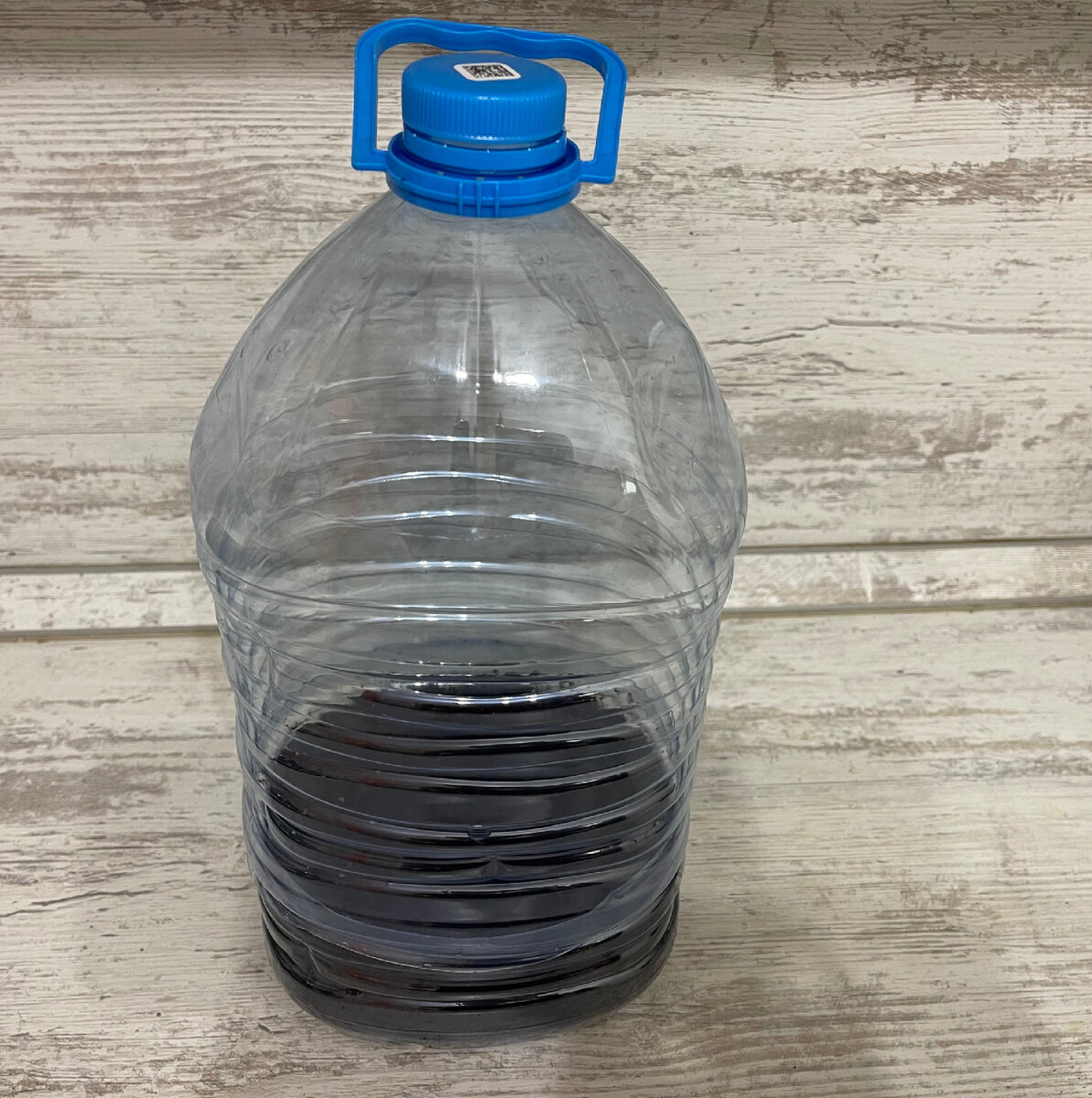 Уход за петунией сразу после всходов, чтобы ростки не вытягивались и не ...