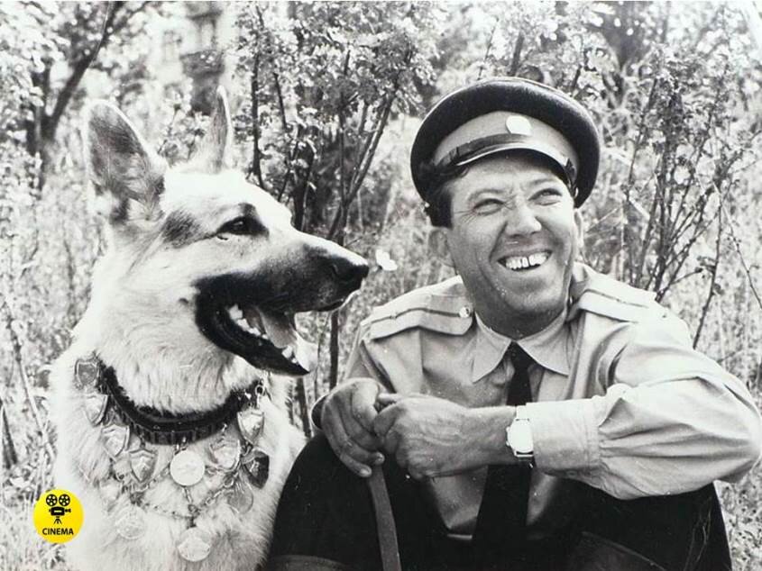 "Ко мне, Мухтар" (1964).