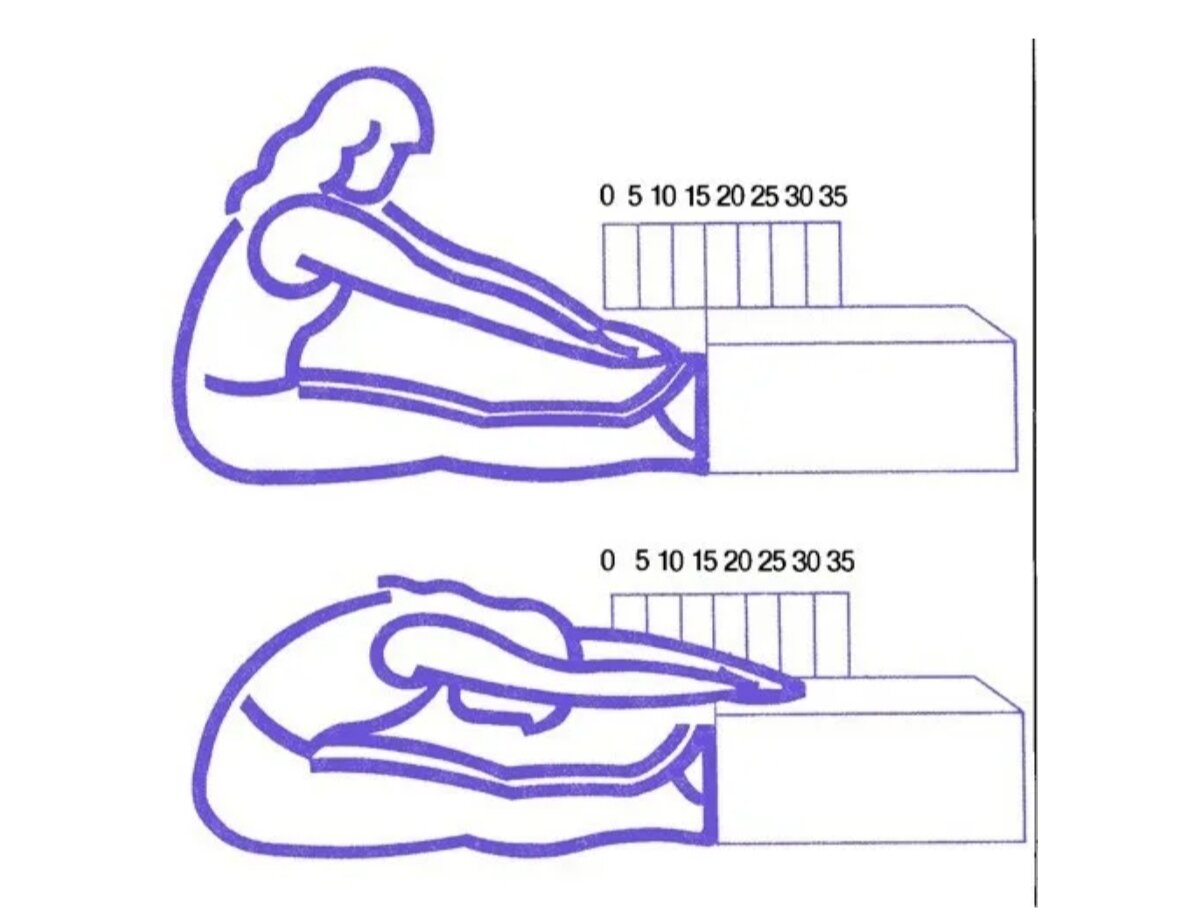 Как измеряется гибкость позвоночника стоя на скамейке