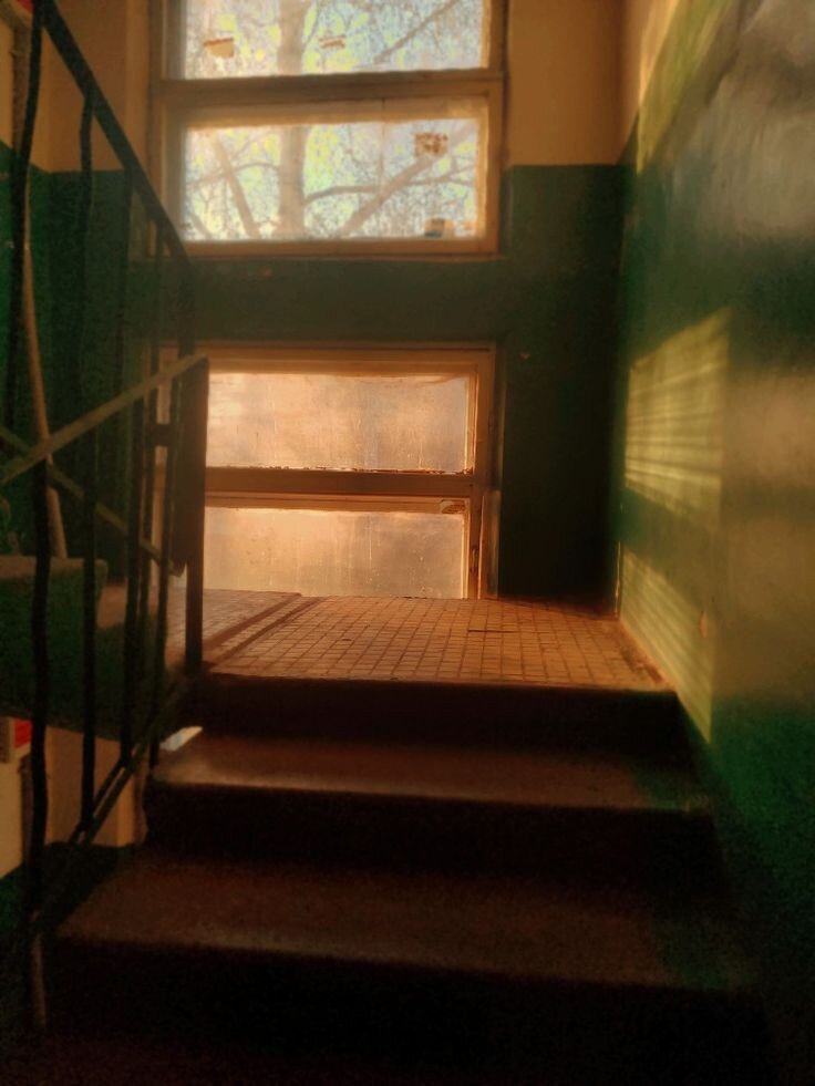 Фото из открытых источников Яндекс