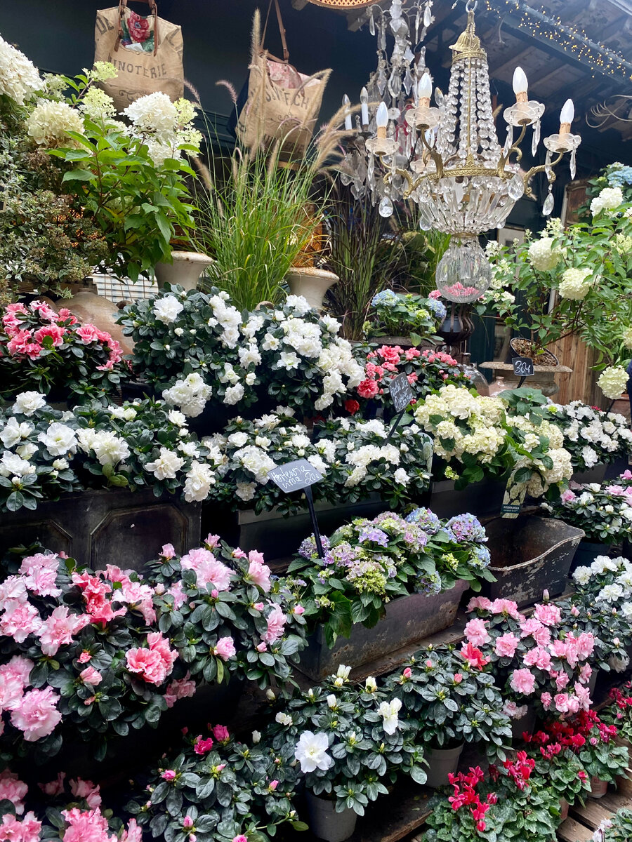 Перемещать в нужное место. Перемещение пострадавшего в одиночку волоком. Перемещение тяжелых предметов. Способы переноса пострадавшего. Способы и приемы транспортировки пострадавших при подъеме и спуске.