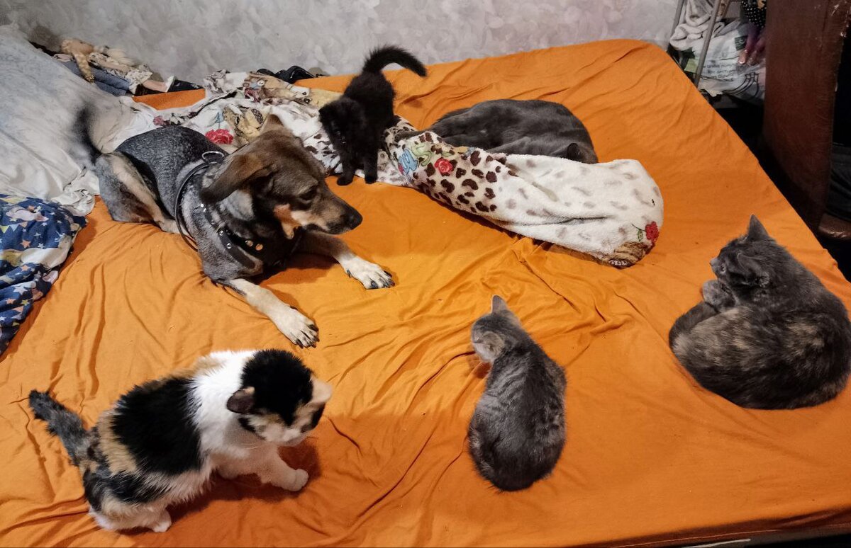 Фото из личного архива автора 