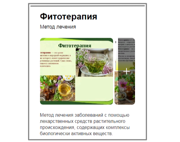 Скрин начала статьи из Википедии о фитотерапии. 
