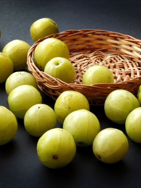 Амла (индийский крыжовник)