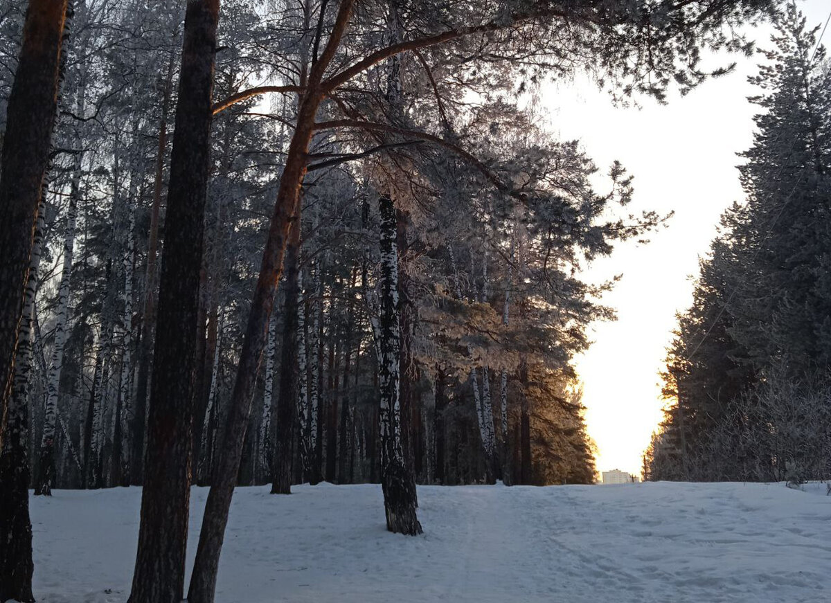 Фото: ФедералПресс / Нина Калинина