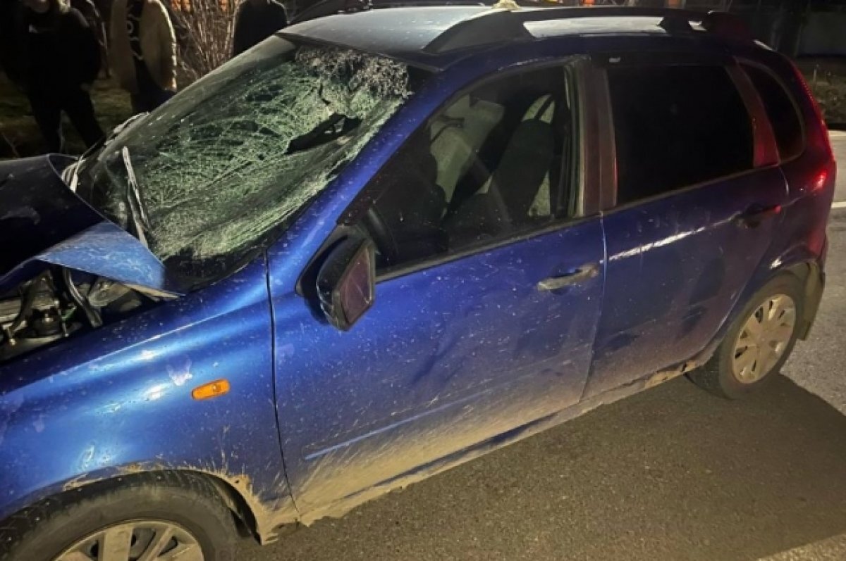    На Кубани 19-летний водитель насмерть сбил пешехода