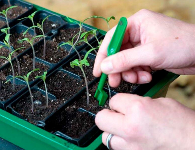 Лунный календарь на 2022 год садовода и огородника. Календарь огородника на 2022 лунный посевной таблица. Лунный календарь дачника на 2021 год. Лунный посевной календарь на 2022 год садовода и огородника. Календарь огородника на сентябрь.