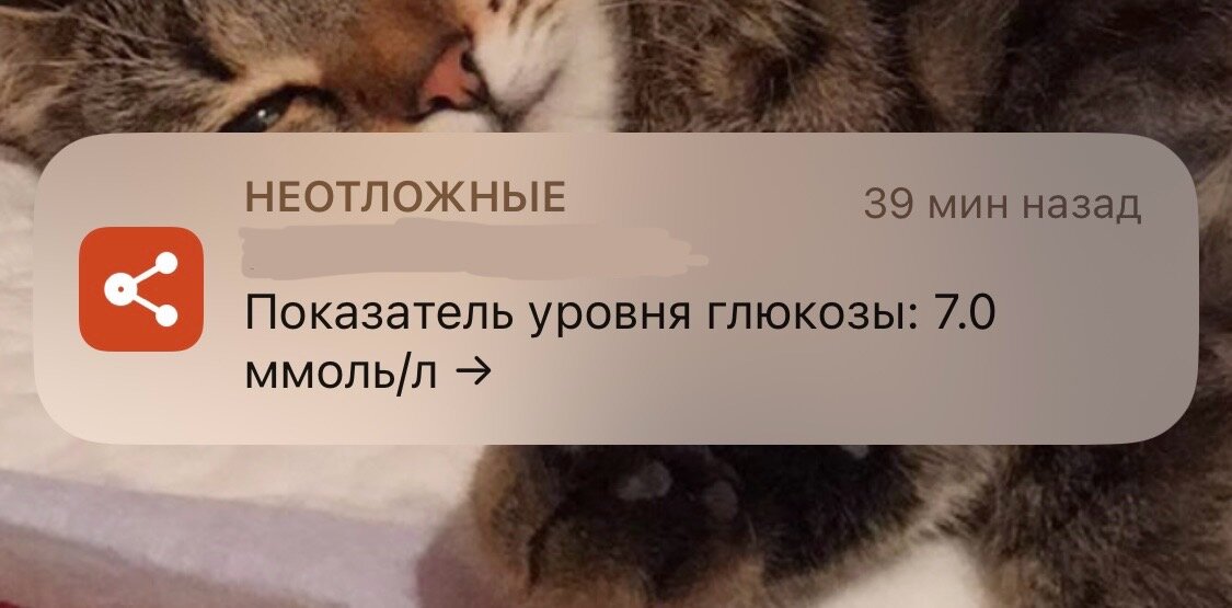 Пример уведомления о гликемии наблюдаемого пациента в программе LibreLinkUp