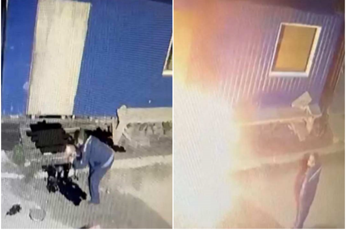 Кот телеграмм канал. Аватарки для телеграмма. Обои на телефон с анекдотами. Обои на телефон с шутками. Не позволяй душе лениться иллюстрация.