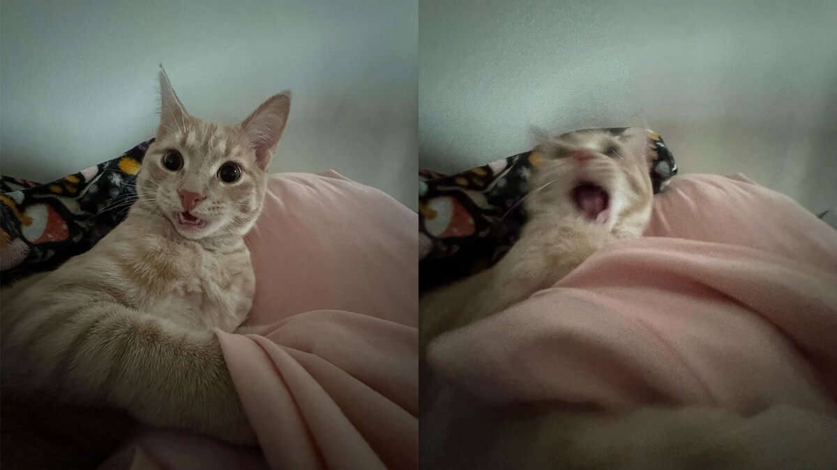 разбудить 20