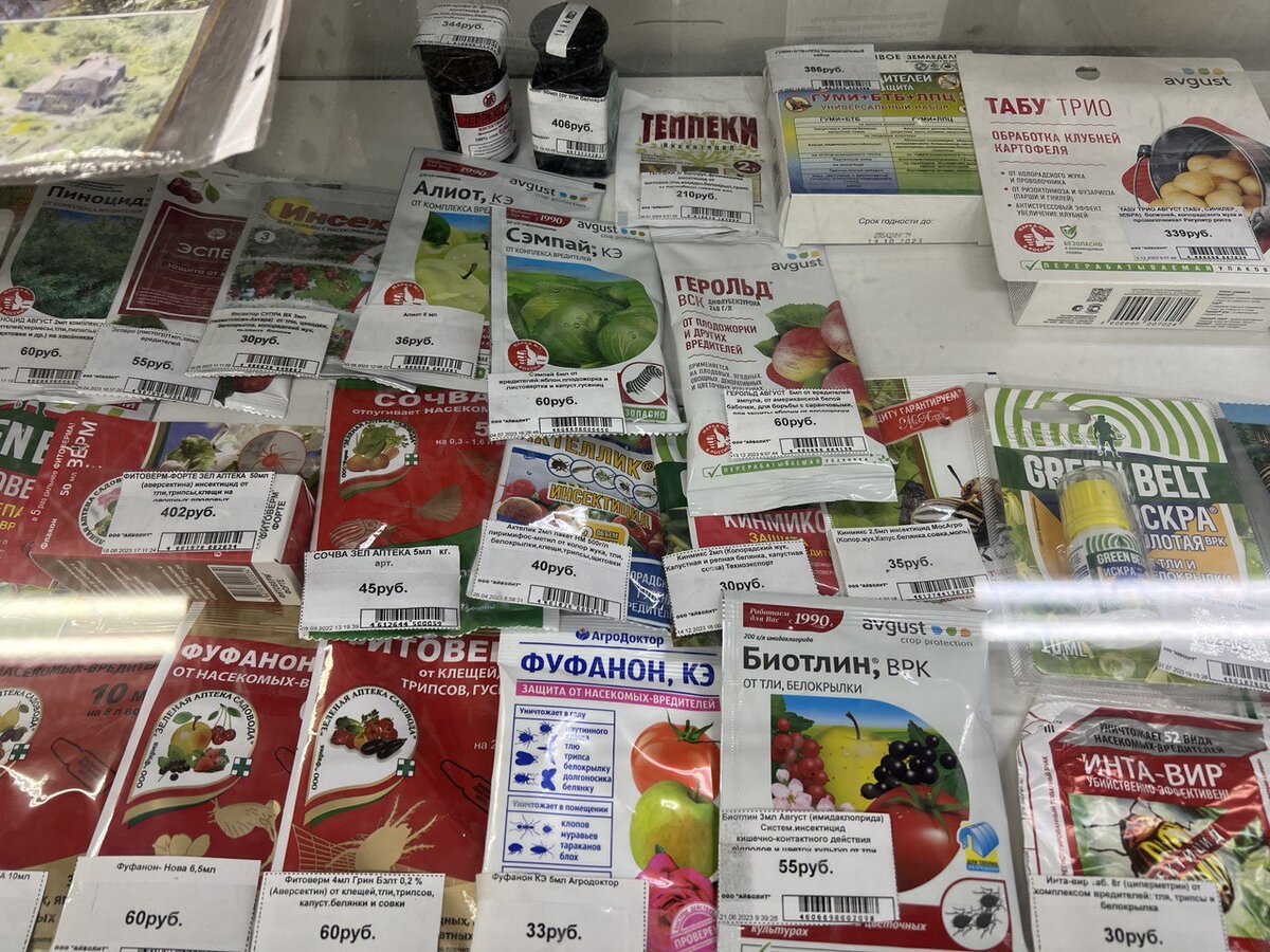 Вот такой - богатый прилавок