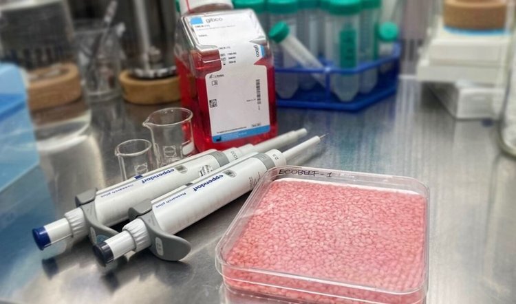    Рис с клетками коров вырастили ученые для коммерциализации