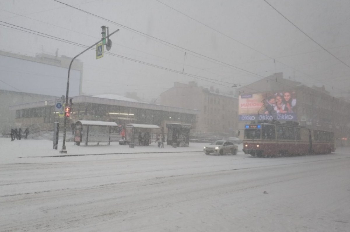    В Петербурге 15 февраля обещают продолжение снегопадов