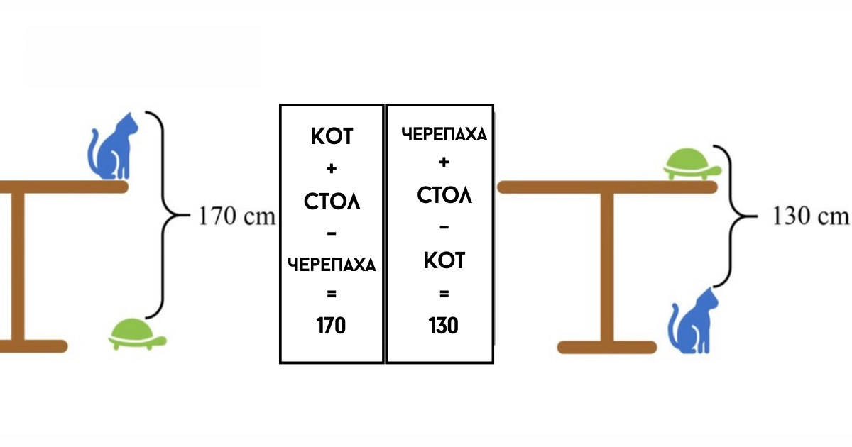 Задача высота стола с котом и черепахой