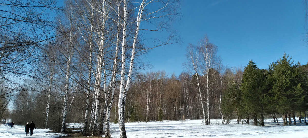 Если в Сретение тепло и солнечно, весна наступит рано и будет тёплой