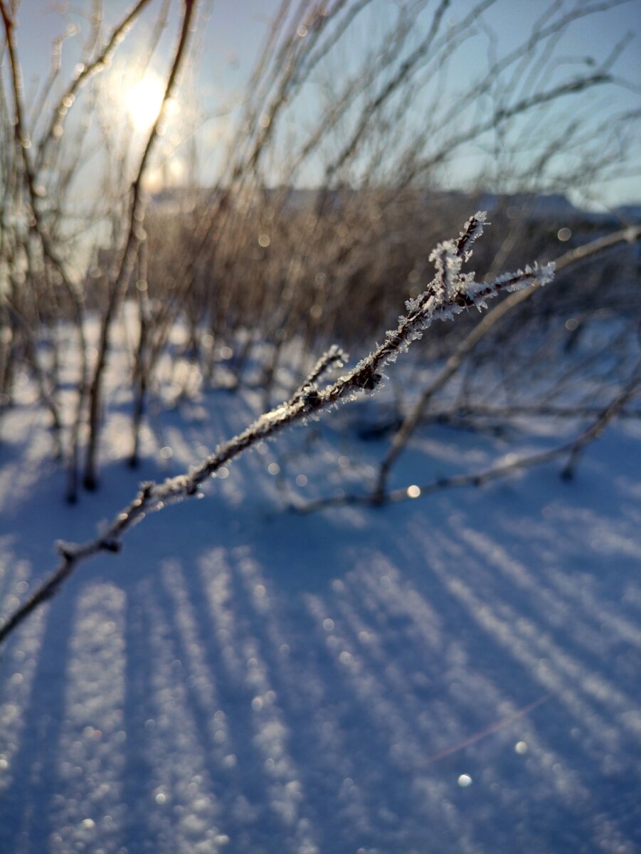 Утренняя фотография прошлой недели