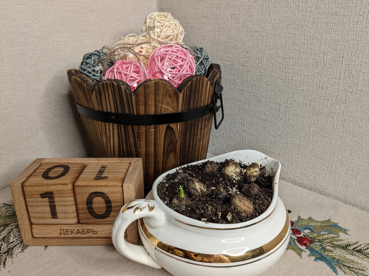 Два месяца спустя после посадки