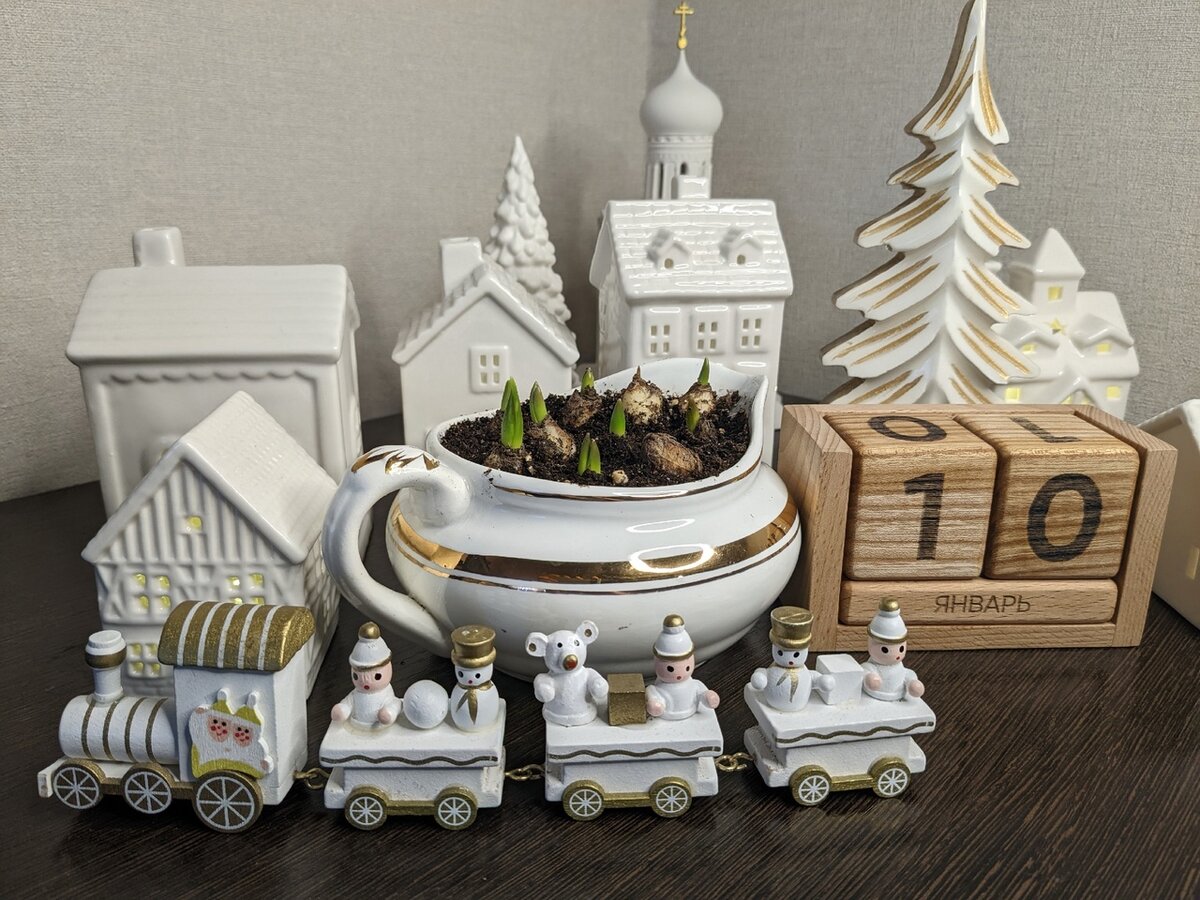 Три месяца спустя после посадки