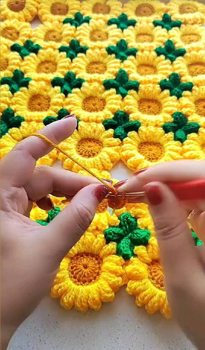 подсолнечник однолетний бамбино. подсолнечник хадсон. подсолнуховый мед. подсолнух цветок. соцветие подсолнуха.