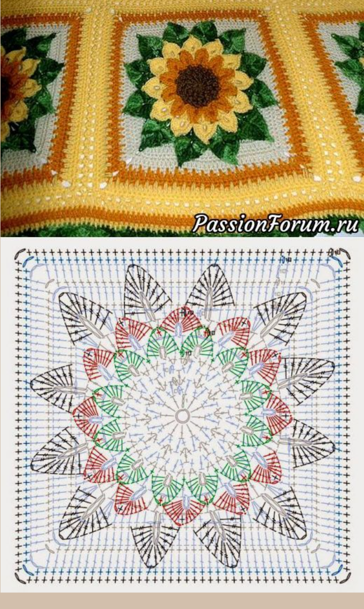 Подсолнухи зимой. Подсолнухи зимой. Опущенный подсолнух. Подсолнухи в снегу. Подсолнухи в снегу.