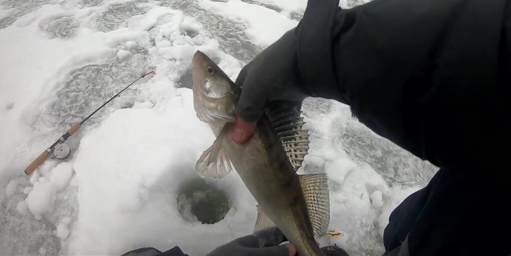 Крым коктебель тропа голицына. Судак берег южный. Крым крепость на скале в судаке. Генуэзская крепость (г. Судак новый свет тропа голицына.