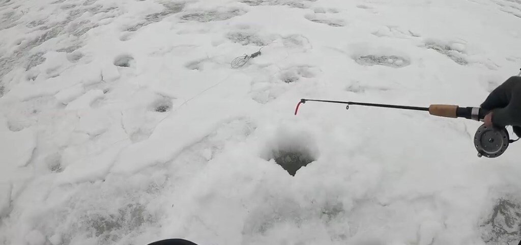 в каком месте ловить рыбу. места обитания щуки в озере. места ловли щуки. рыбные места в ленинградской области. в каком месте ловить рыбу.