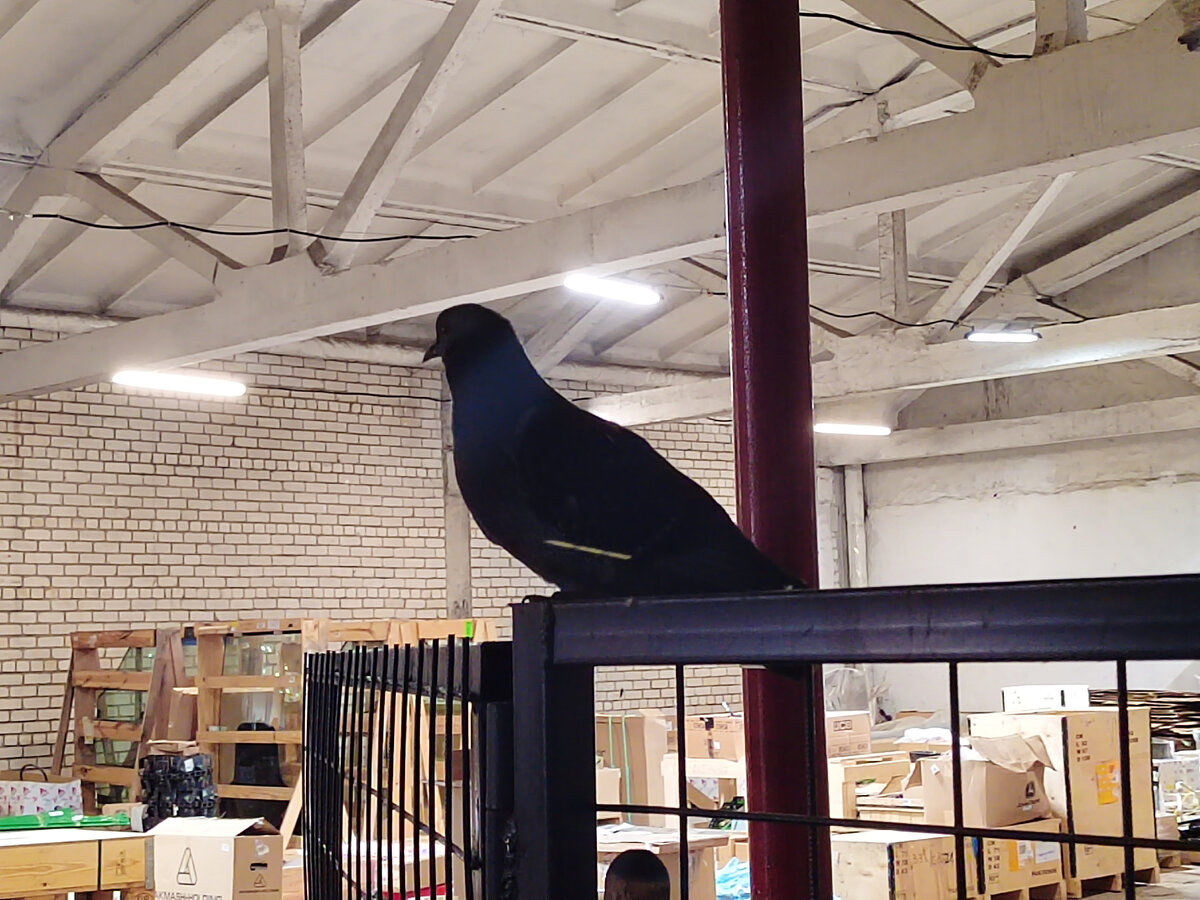 Фото автора канала.