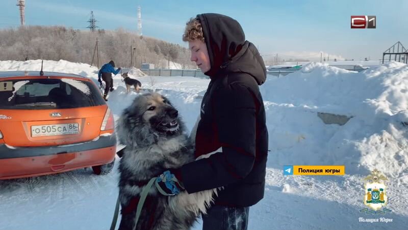    Студенты и полицейские Сургута посетили приют для животных в Белом Яру