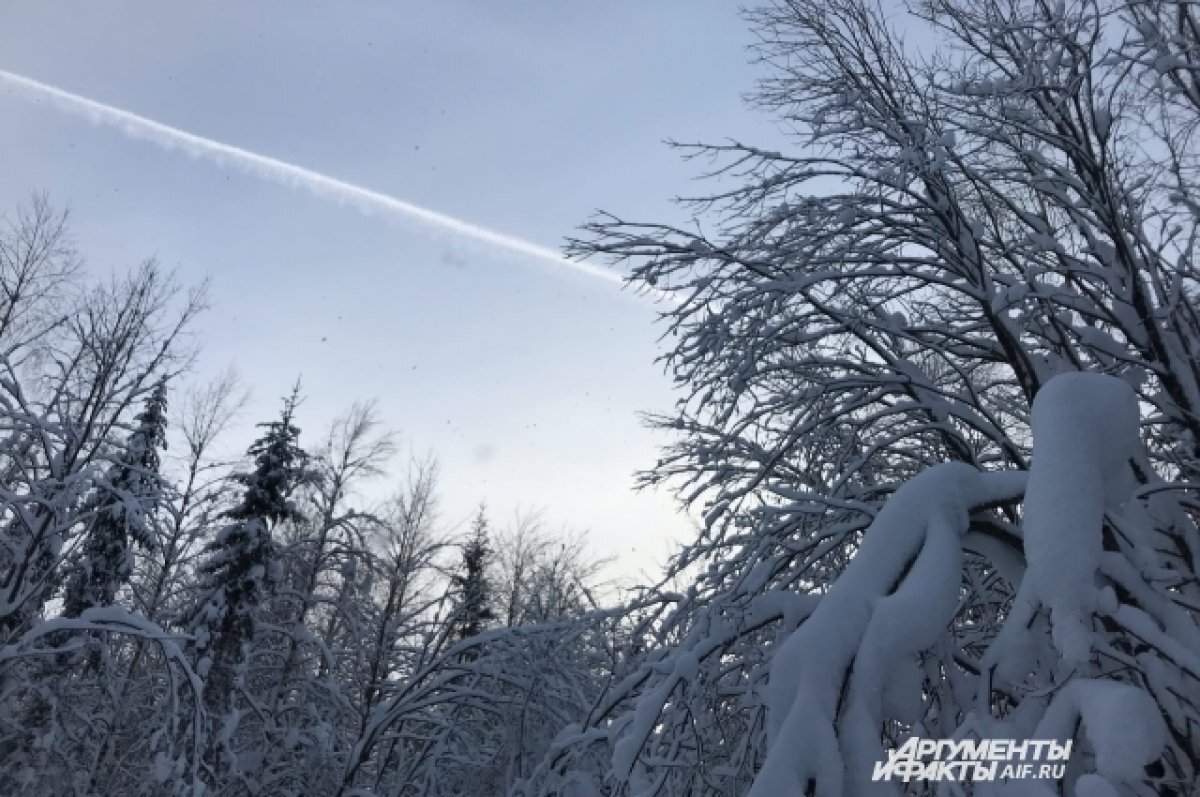    В Златоусте пенсионер чуть не замерз в снегу по дороге на дачу