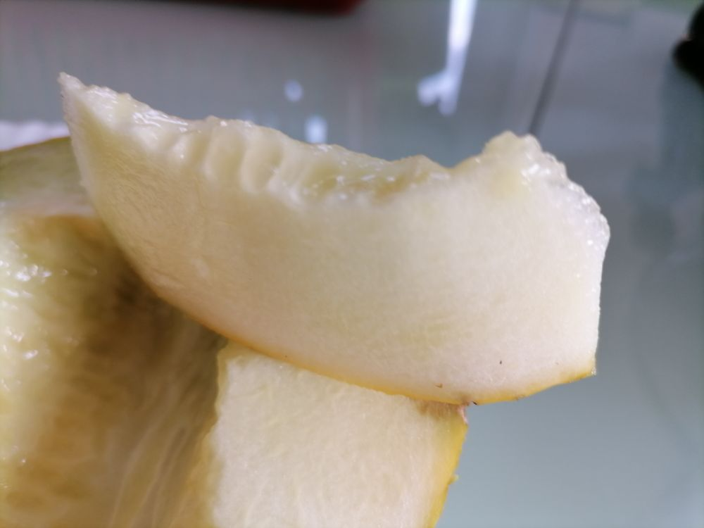 Дыня Паспорт выросла красивой, но невкусной, как картошка вареная