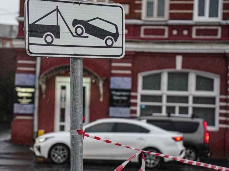     Фото: Светлана Мулыкина