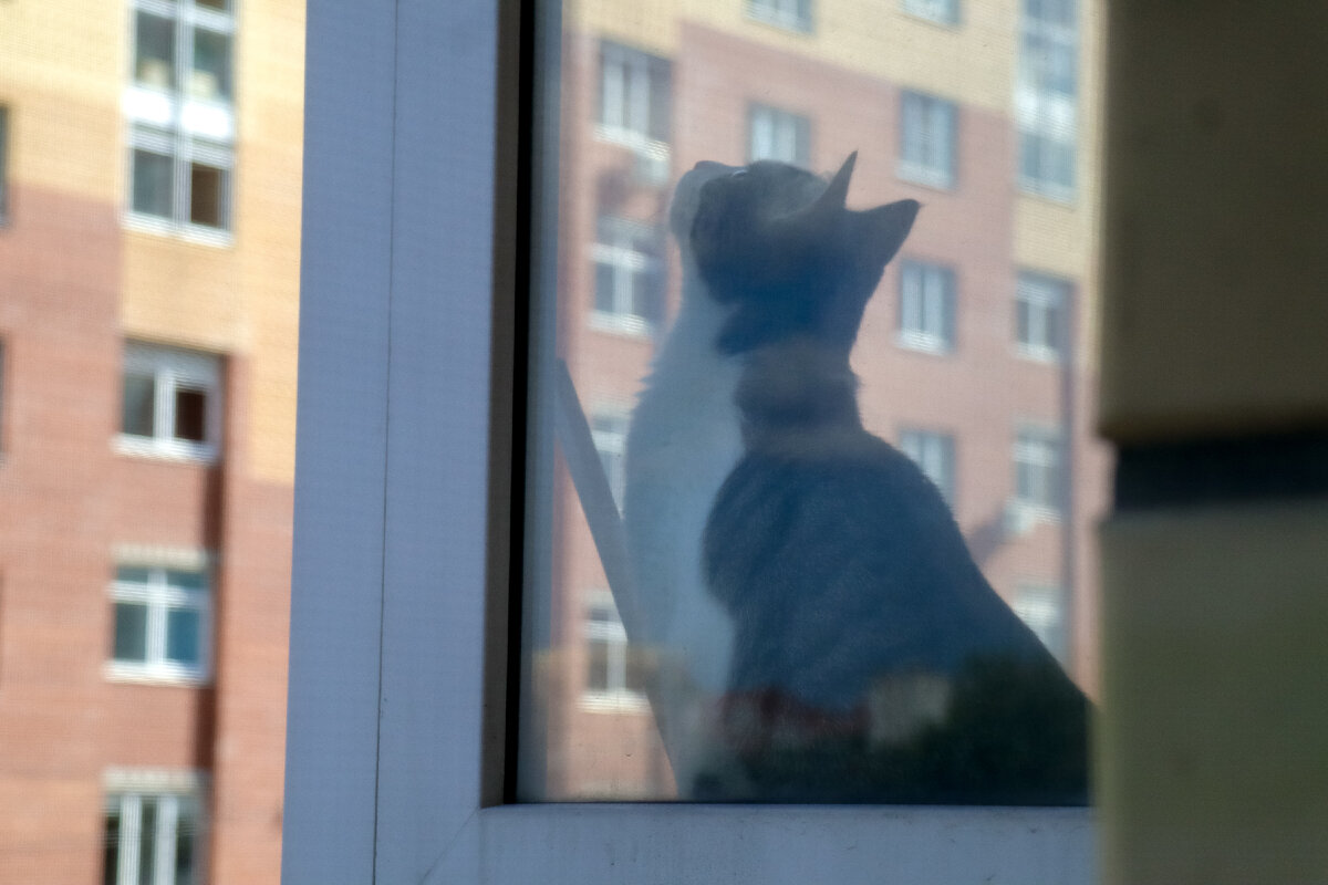 фото Elena Mayorova/Global Look Press 