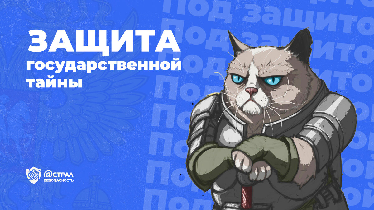 Даже котики не такие милые, когда разговор о защите государтвенной тайны...