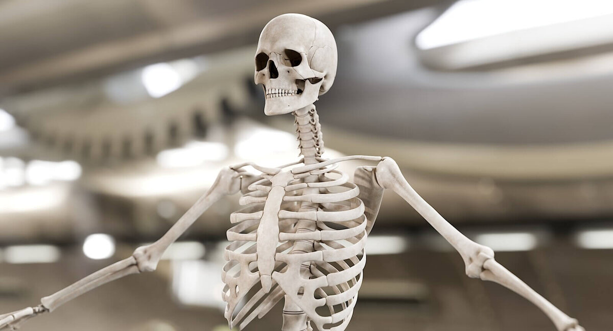    Тело человека разлагается одинаково, независимо от условий