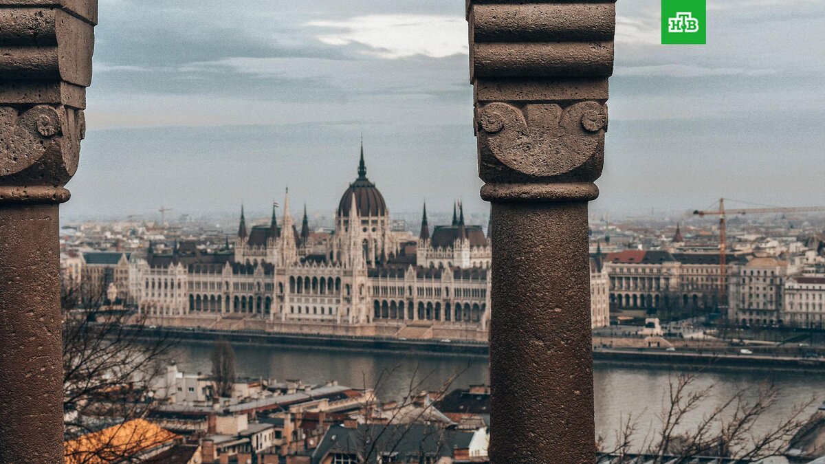    Фото: Emma Fabbri / unsplash.com