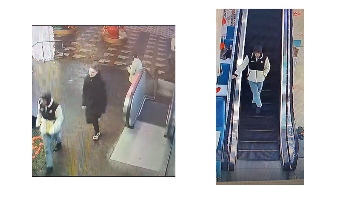    В Курске разыскивают подозреваемых в краже денег и наушников из ТЦ