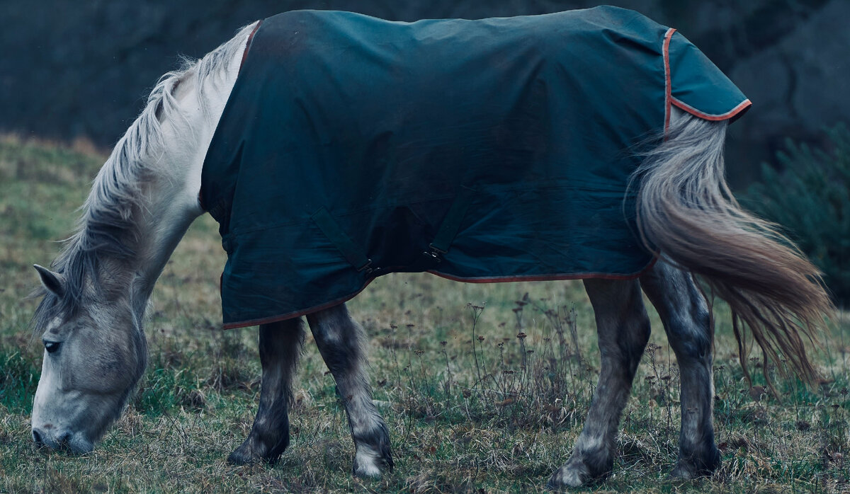 Картинка с бесплатного фотостока https://unsplash.com, автор Garvit Nama