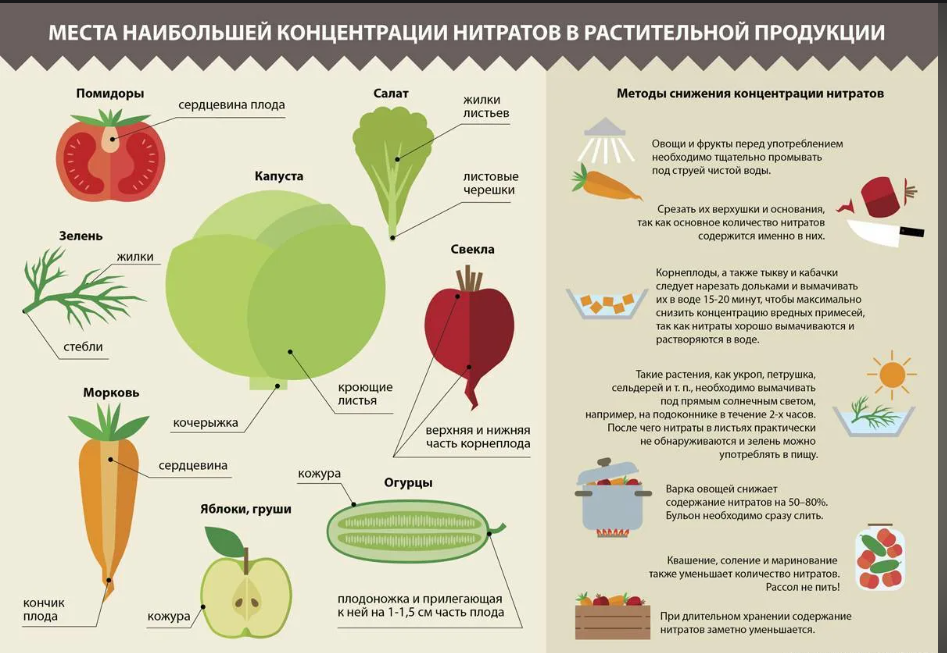 Нитраты в овощах и фруктах. Самые полезные овощи. Нитраты и нитриты в овощах и фруктах. Полезные фрукты и овощи для организма.