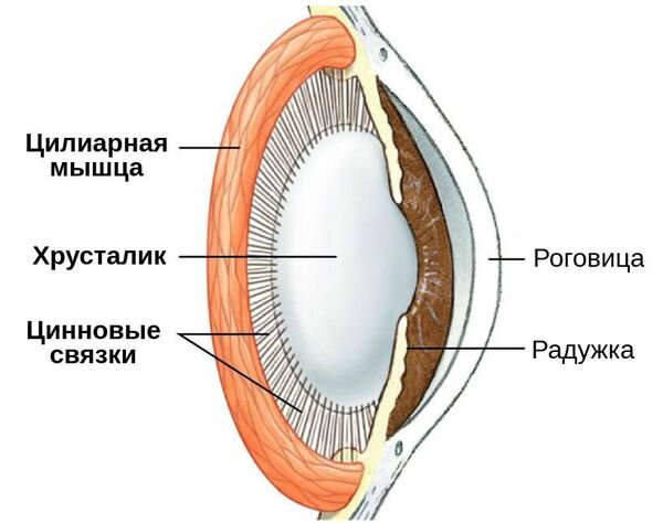 Сайт заблокирован хостинг-провайдером