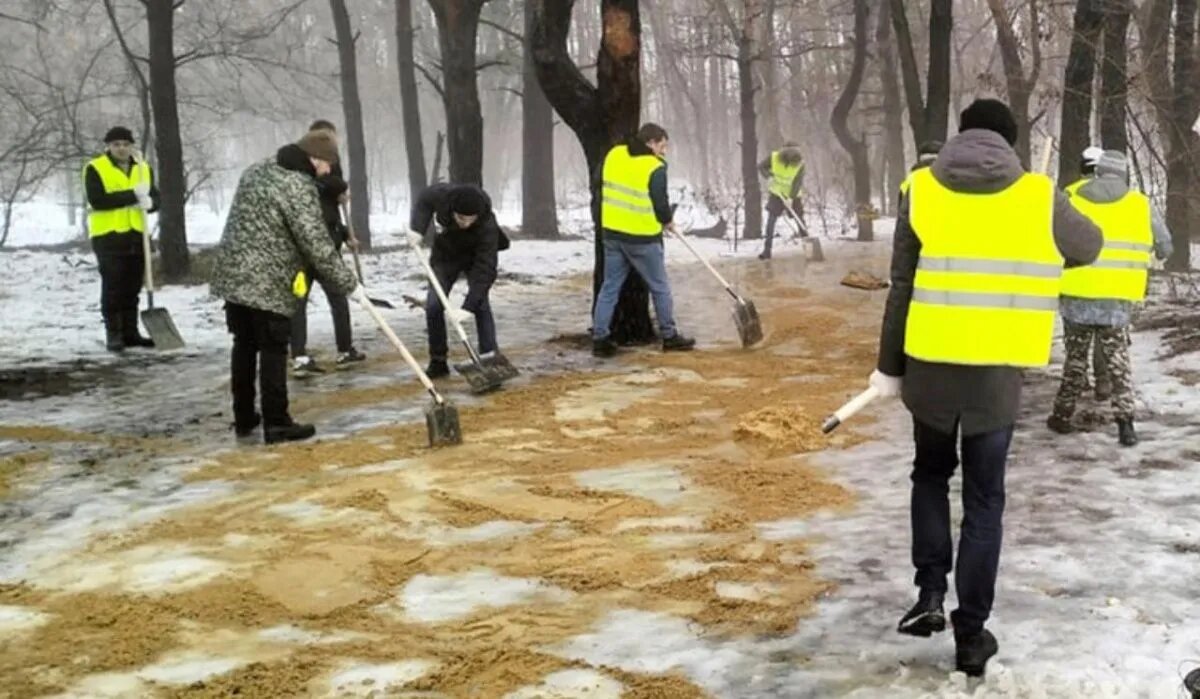 Волонтеры помогают обрабатывать городские дороги. Источник: vrn.mk.ru Автор фото: Пресс-служба мэрии Воронежа