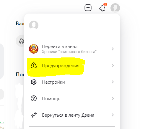 Скриншот из профиля автора
