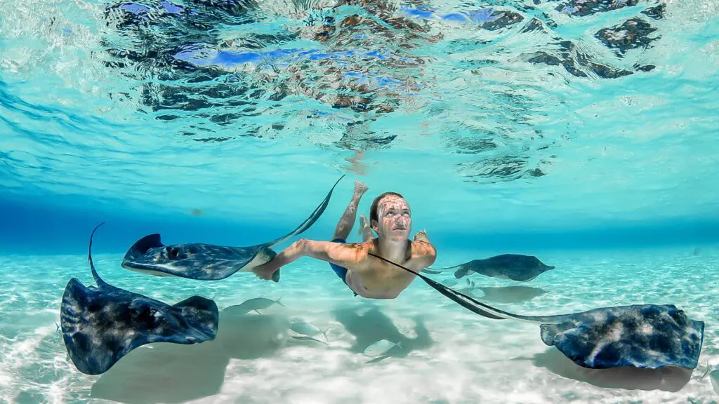 Стингрей-Сити.