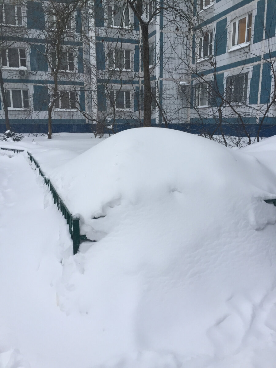 Замело, однако. Фото автора 