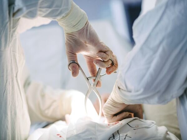    © РИА Новости Варвара Гертье