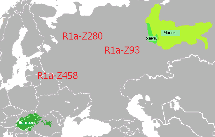 Носителей гаплогруппы N1a1 среди русских – 14%
