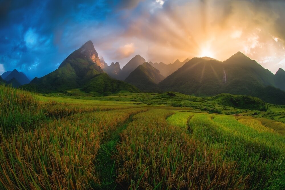     Фото: Shutterstock.com