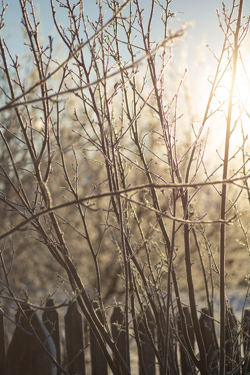 Морозное утро.